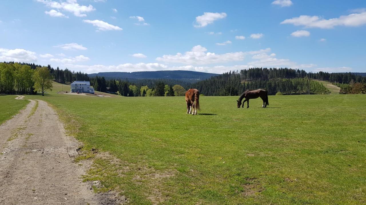 Apartmany Stran Potucky Bagian luar foto
