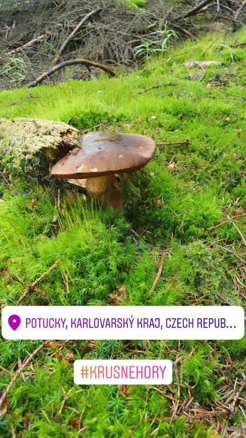 Apartmany Stran Potucky Bagian luar foto